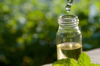 Tea Tree Oil for Hair and Scalp