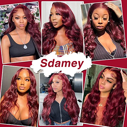 Sdamey 99j Burgundy Lace Front Wigs Human Hair 13X6 Body Wave Wigs HD Transparent Human Hair Wigs Pre Plucked Bleached Knots with Baby Hair 180% Density Brazilian Virgin Glueless Red Wigs for Black Women (30 Inch, 13X6 99J Body Wave)